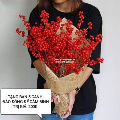MAI BÌNH HỌA TIẾT PHÚ QUÝ TRƯỜNG THỌ